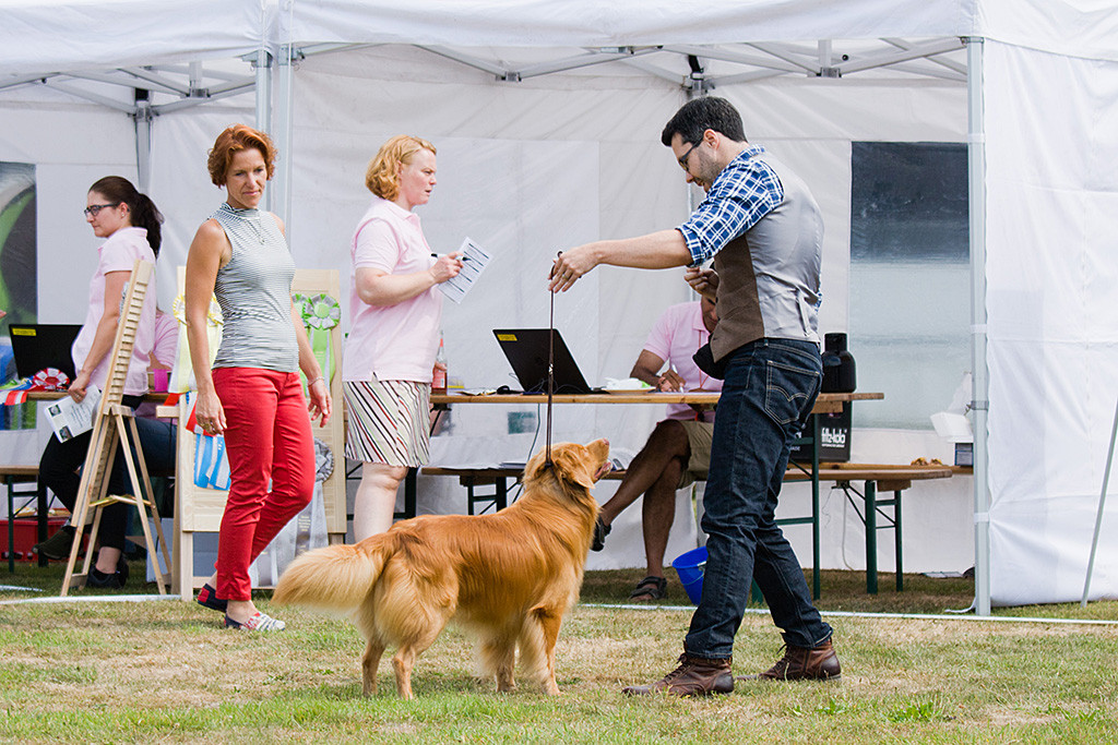 Edison steht vor Stephan in perfekter Stehpose während die Richterin sich ihn anschaut