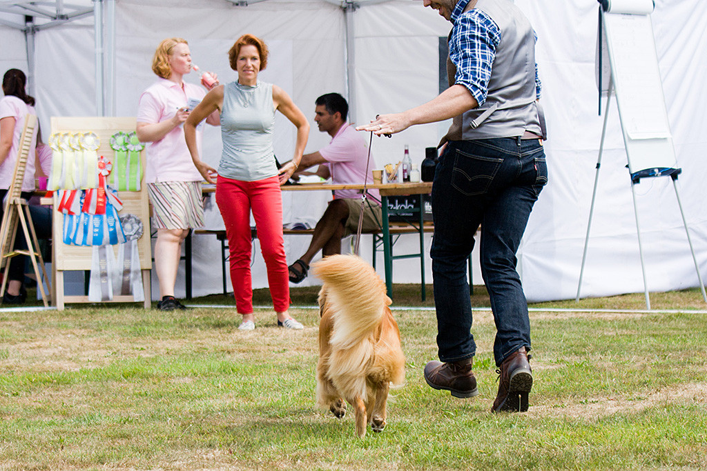Edison läuft an Stephans Seite auf die Richterin zu, die im Hintergrund lächelt