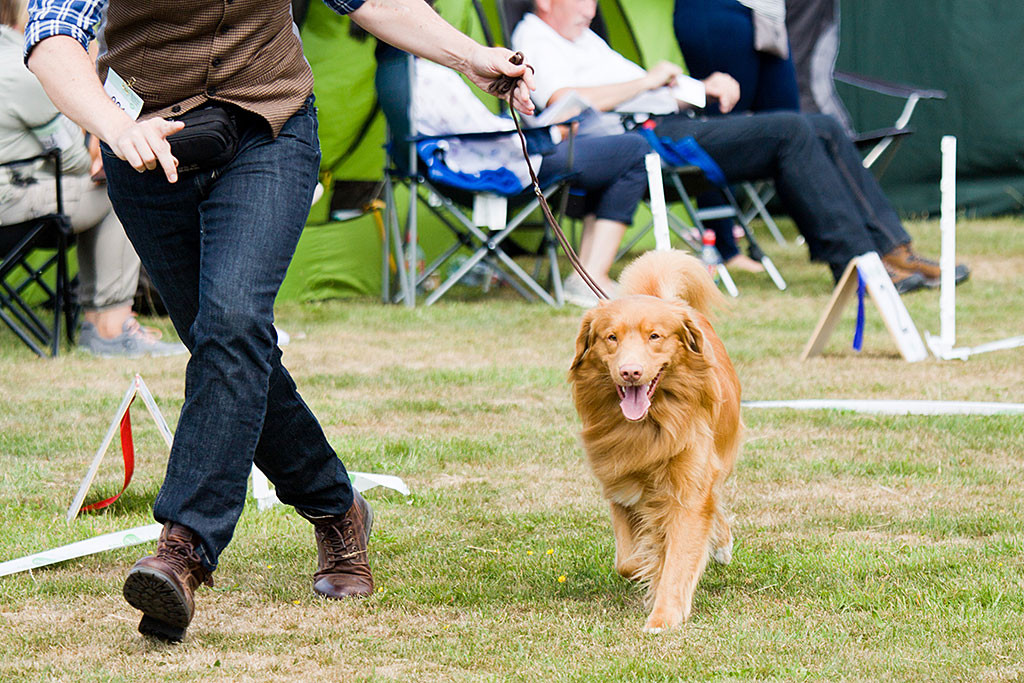 Edison läuft an Stephans Seite in den Ring ein