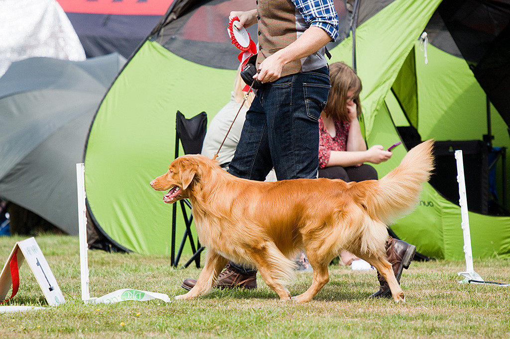 Edison läuft mit Stephan, der die Gewinnerschleife trägt, aus dem Ring
