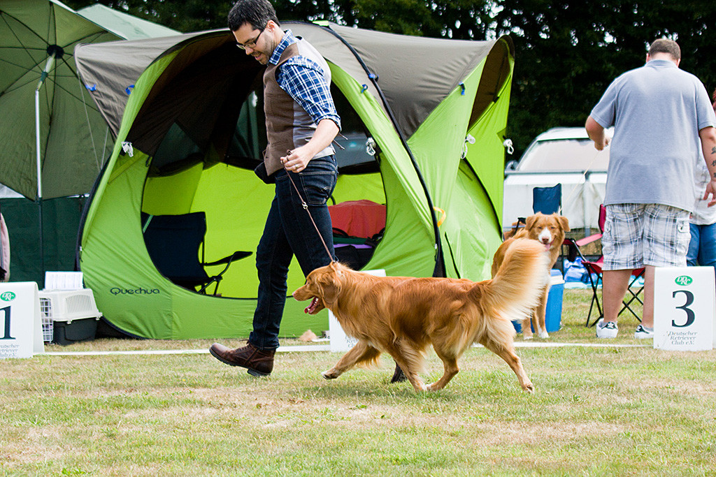 Edison fliegt an Stephans Seite förmlich durch den Ring
