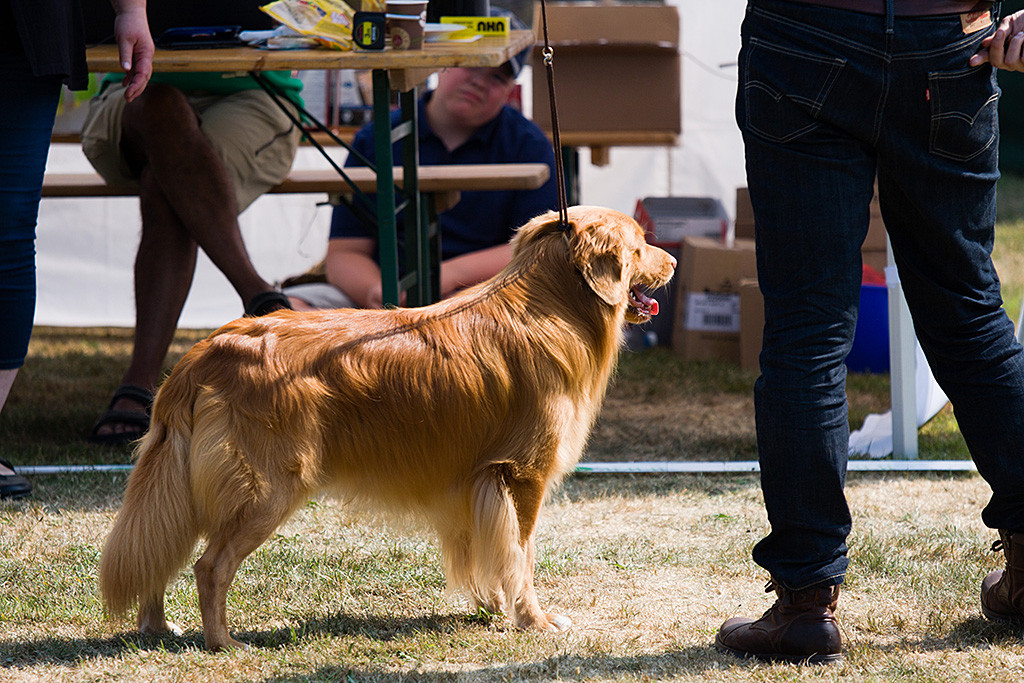 Edison steht an Stephans Seite vor der Richterin in Pose