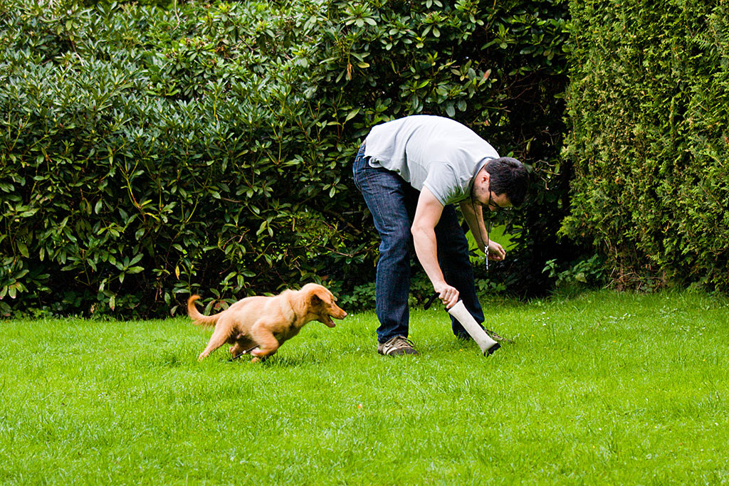 Edison versucht das Spielzeug zu fangen