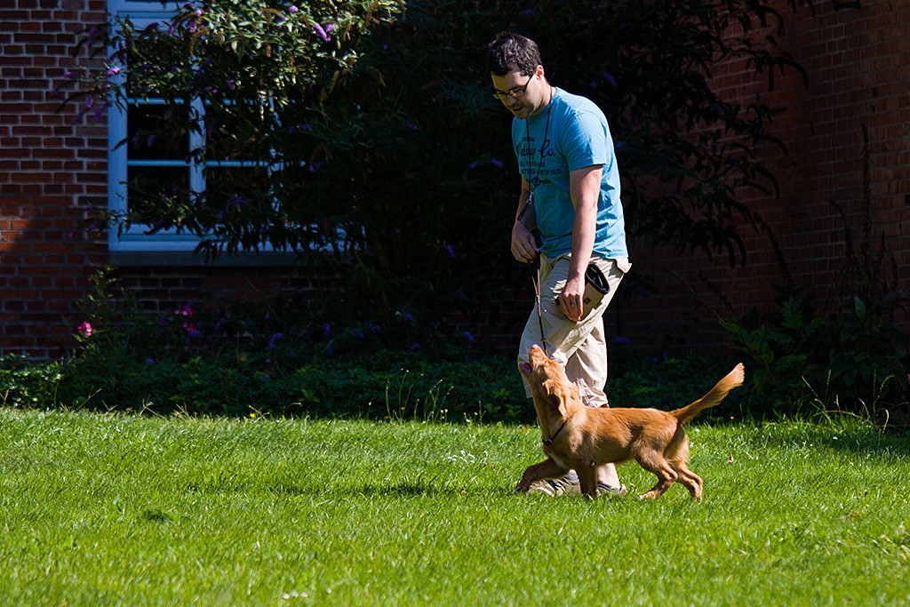 Edison läuft neben Stephan bei Fuß