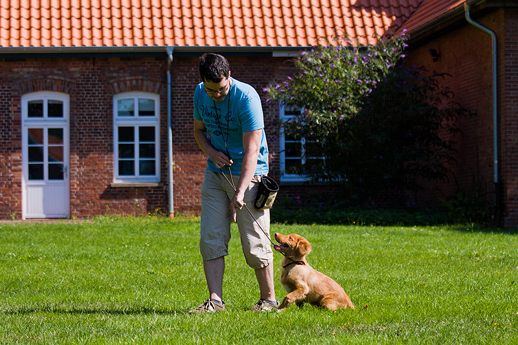 Edison aus dem Sitz aufstehend, um bei Fuß zu laufen