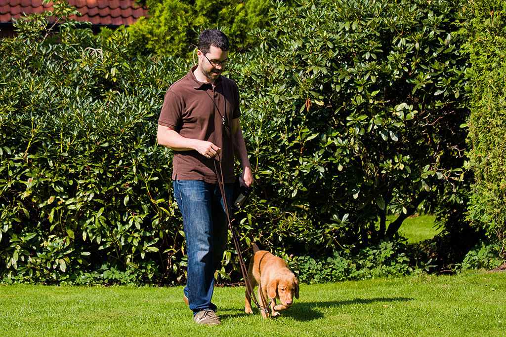 Edison übt zusammen mit Stephan Leinenführigkeit