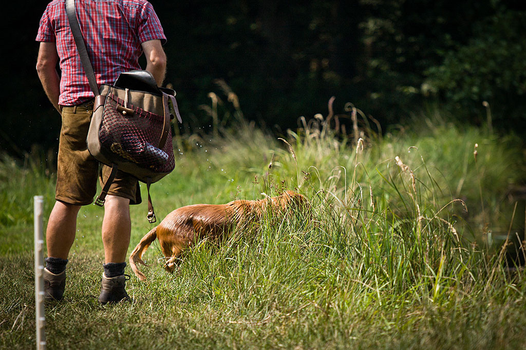 Edison überquert ein Stückchen Land zum nächsten Gewässer, im Vordergrund steht Carsten