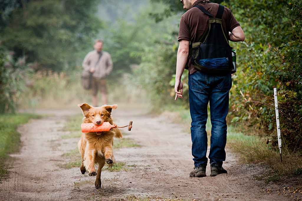 Edison läuft mit dem Wasserdummy im Fang an Stephan vorbei auf Julia und die Kamera zu, im Hintergrund steht Carsten