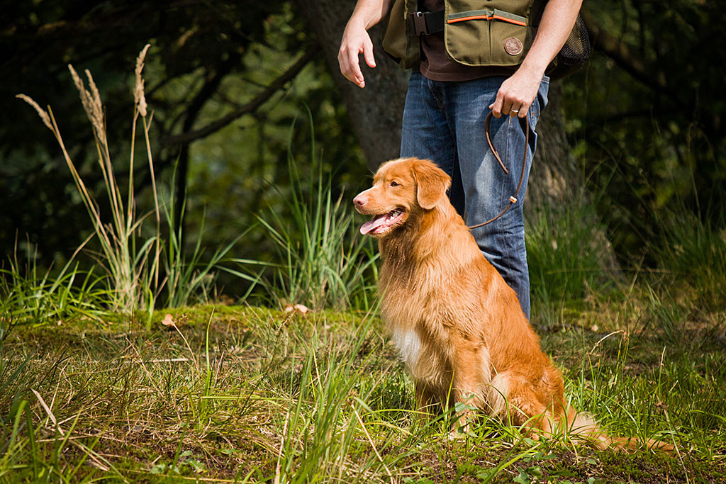 Edison sitzt schon wieder trocken lächelnd an Stephans Seite