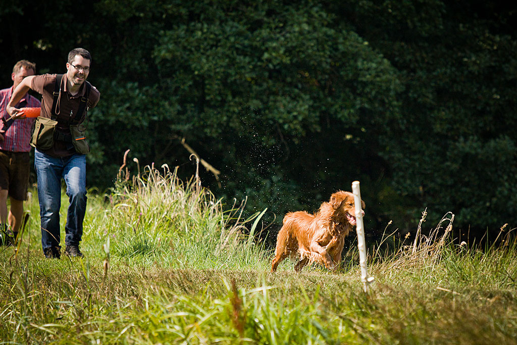 Edison freudig auf dem Weg zum nächsten Dummy am Ufer, Stephan steckt gerade einen Dummy in seine Weste, dahinter steht Carsten