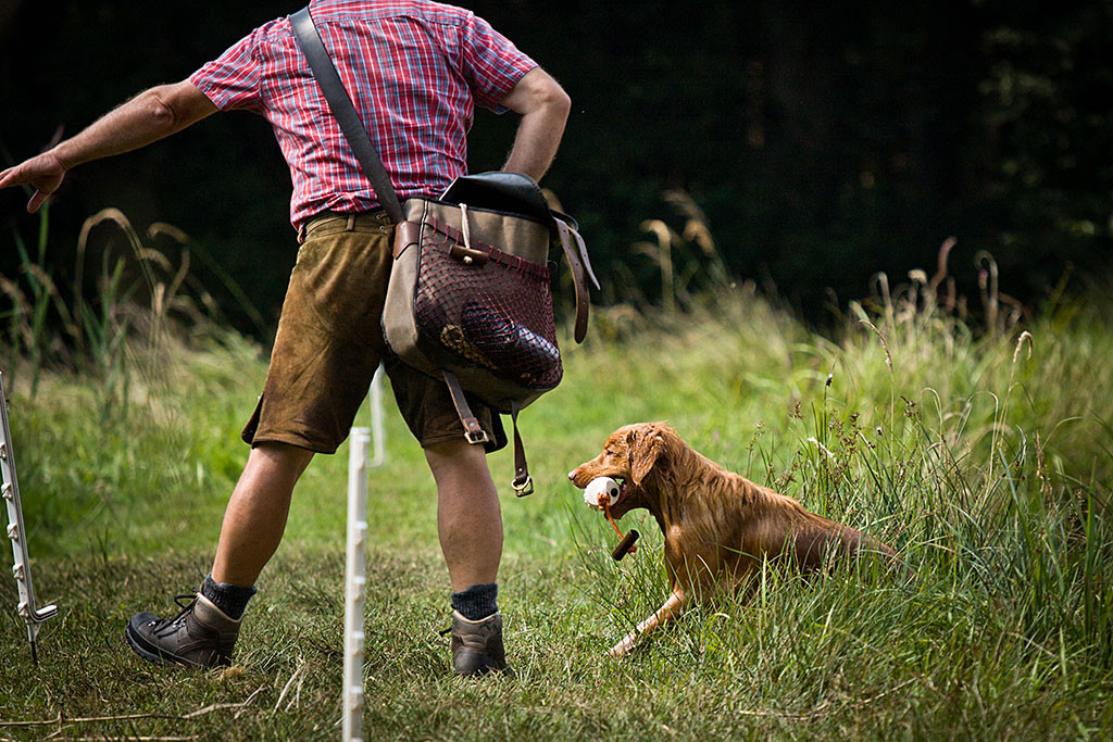Edison verlässt mit einem Dummy im Fang wieder den See, im Vordergrund weist ihm Carsten den Weg