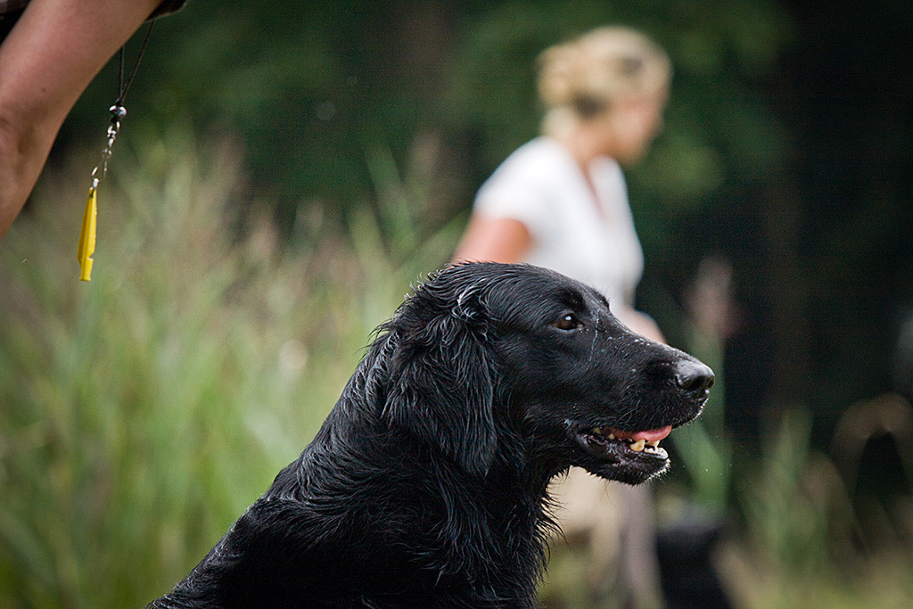 Eaton schaut fokussiert nach vorn, hinter ihr steht Anne, im Hintergrund ist Eva zu sehen
