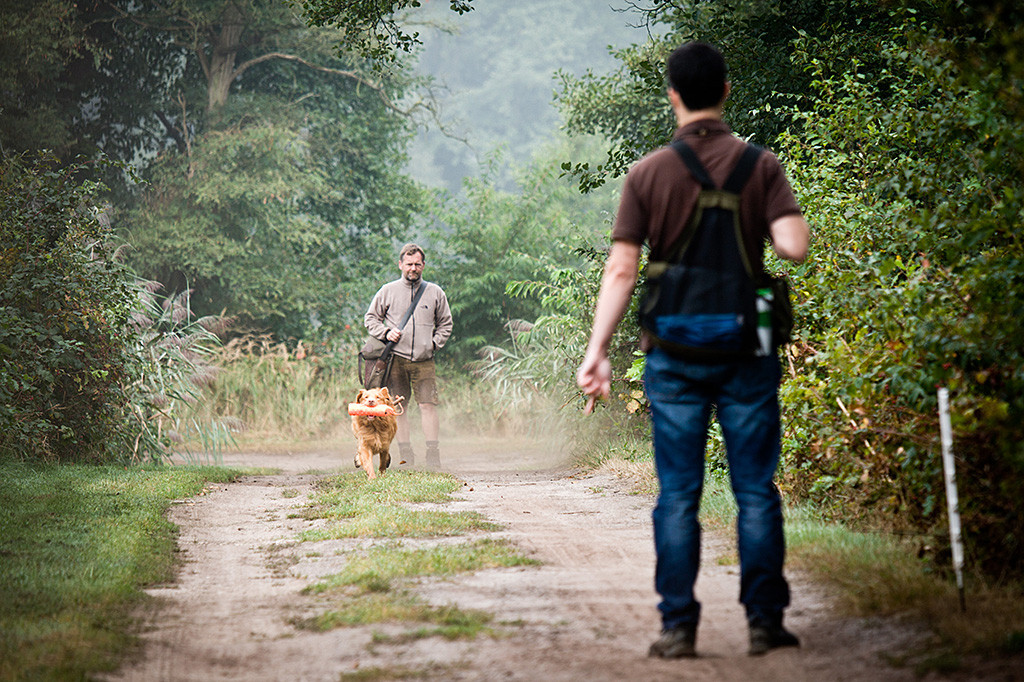 Edison sprintet mit einem Wasserdummy im Fang zurück Richtung Stephan, im Hintergrund steht Carsten