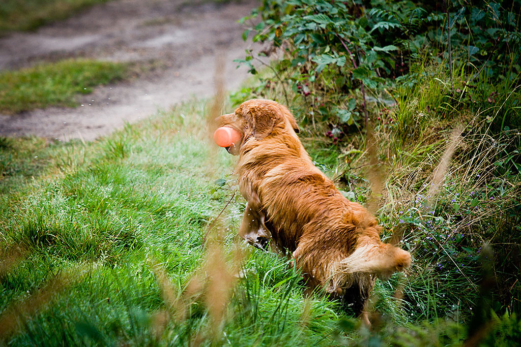 Edison steigt mit einem Dummy im Fang aus dem See aus