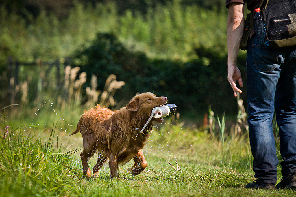 Edison klitschnass kurz vor der Abgabe des Dummies an Stephan
