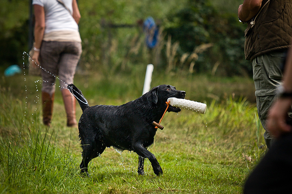 Enyo bringt pitschnass den Dummy zurück zu Thomas, im Hintergrund ist Eva zu sehen