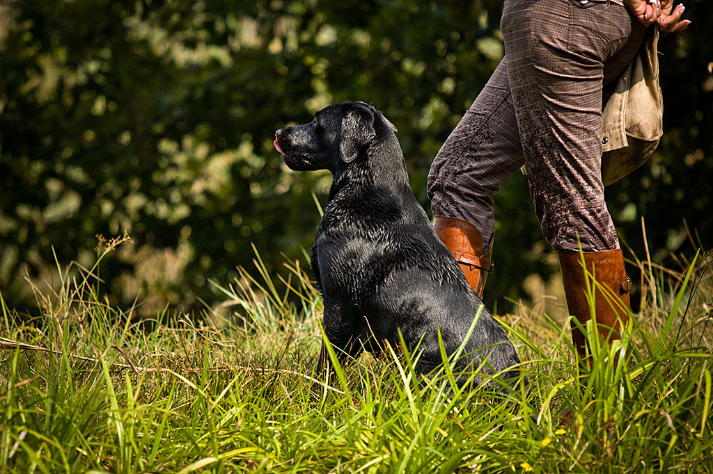 Choice sitzt an Evas Seite im Gras