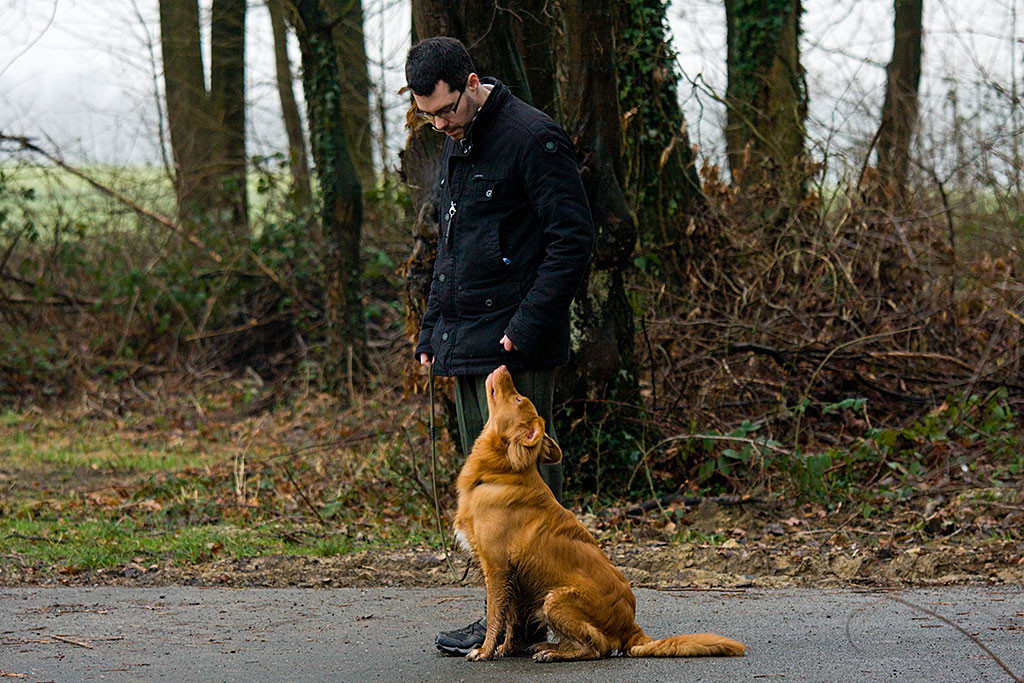Edison sitzt neben Stephan und schaut zu ihm hoch