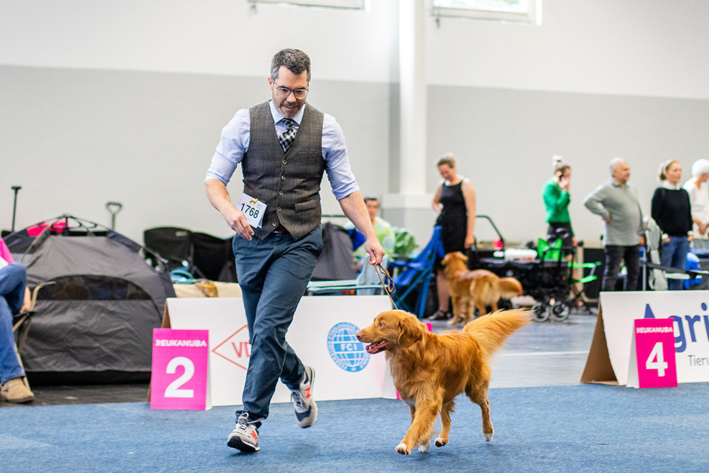 Newton läuft an Stephans Seite synchron mit ihm in den Ring