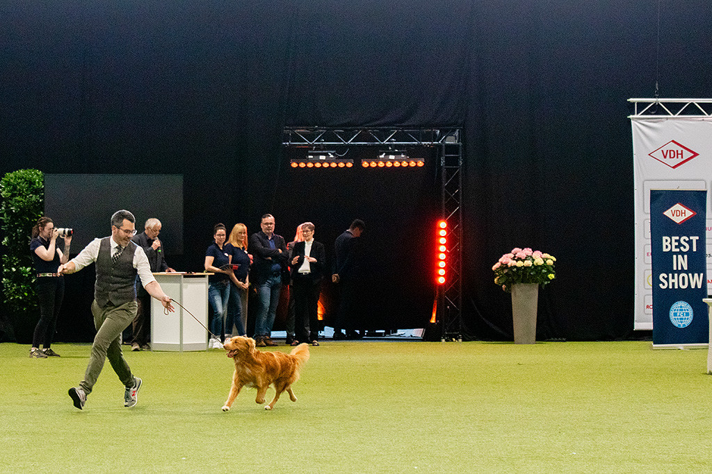 Newton fliegt an Stephans Seite mit viel Freude durch den großen Ehrenring