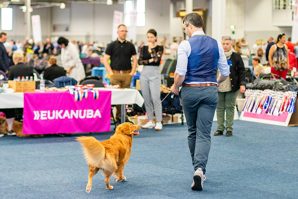 Newton läuft an Stephans Seite frontal fröhlich auf die Richterin zu