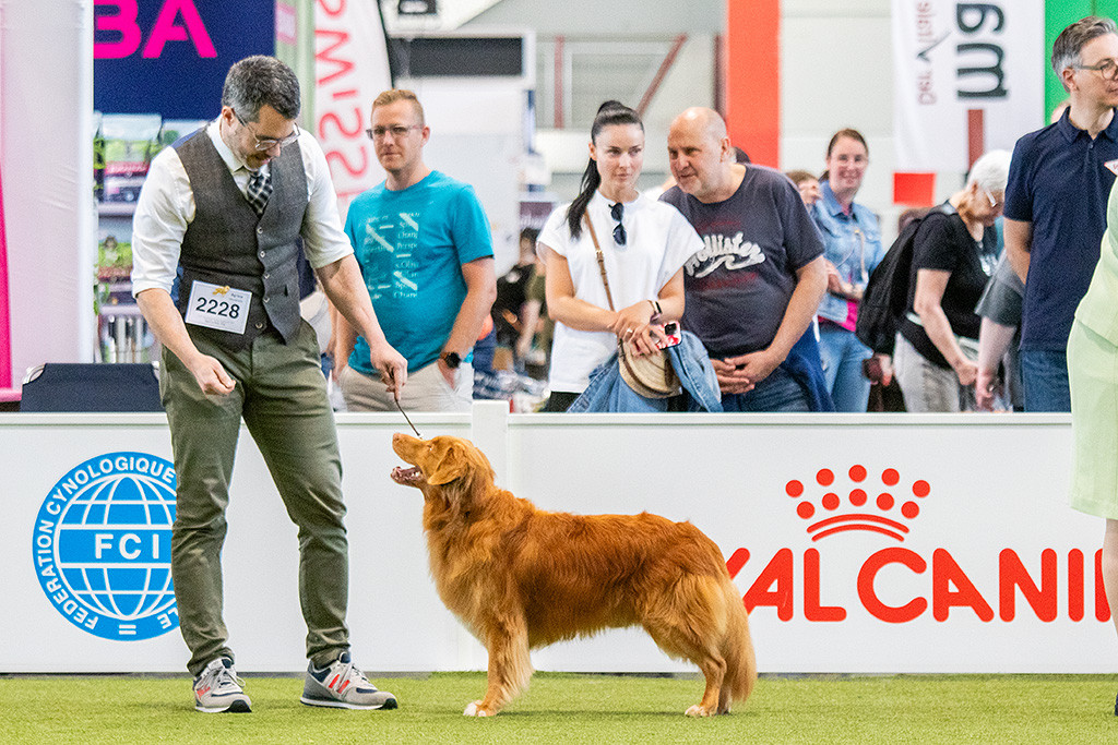 Edison steht frontal vor Stephan im Ehrenring und schaut zu ihm hoch