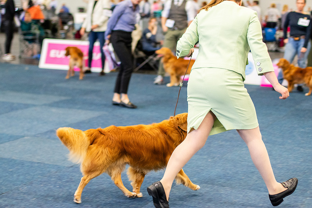 Edison läuft an der Seite von Ann-Kathrin durch den Ring
