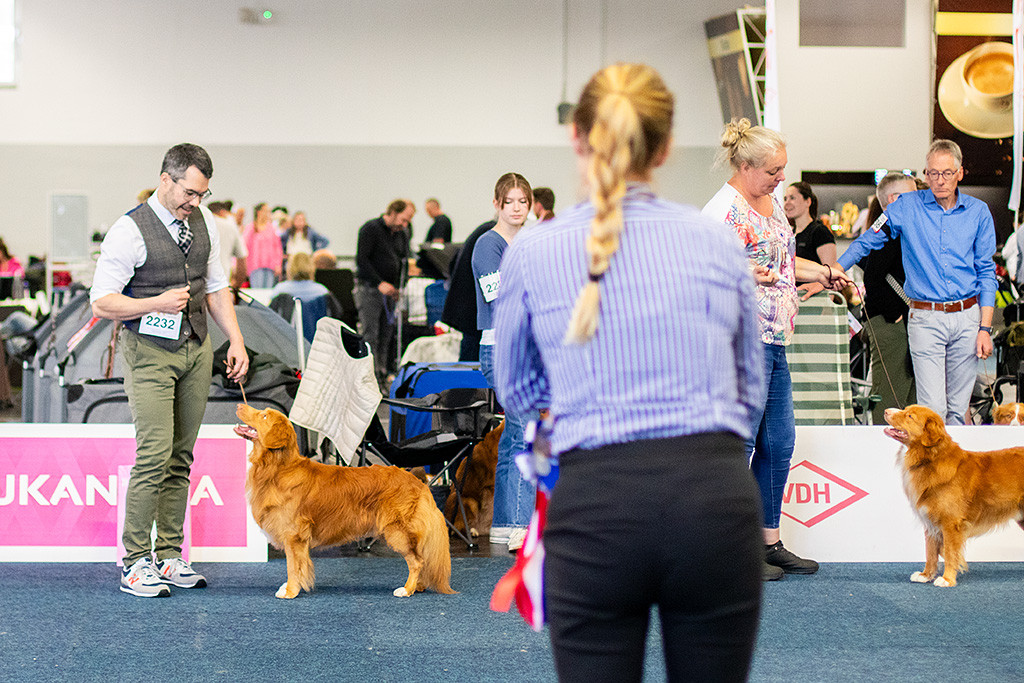 Newton steht aufgereiht neben dem zweiten Championrüdem