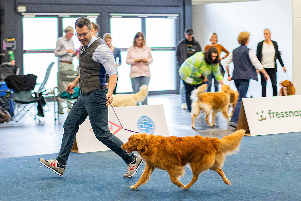 Edison läuft im perfekten Kreuzgang an Stephans Seite durch den Ring