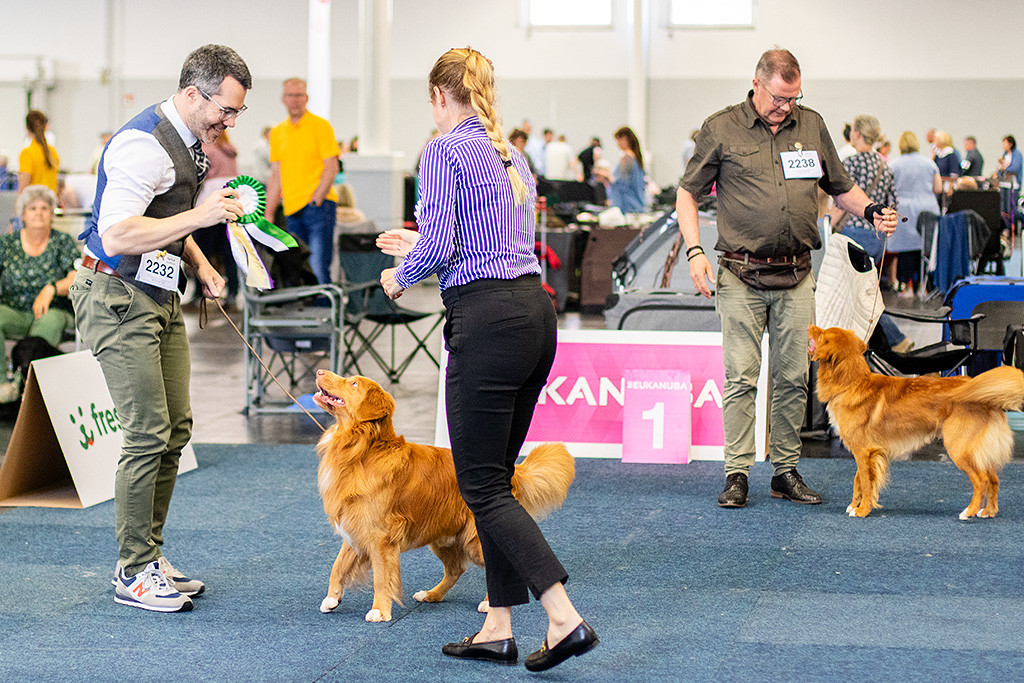 Newton freut sich zusammen mit Stephan, der die CACIB-Schleife von der Richterin erhält