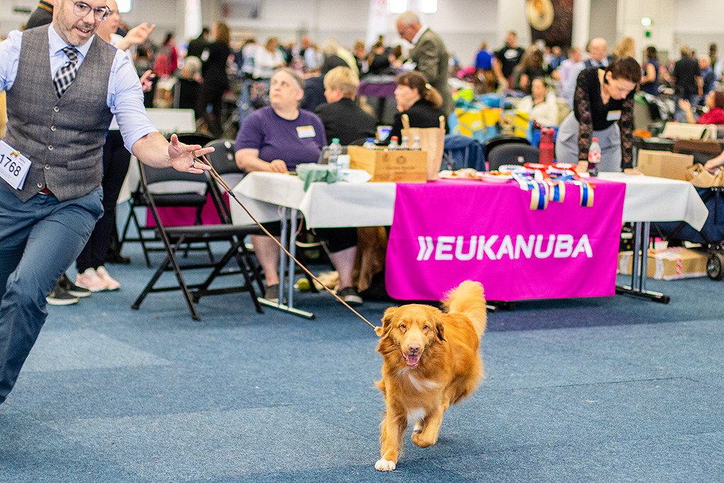 Newton fliegt leichtfüßig an Stephans Seite durch den Ring