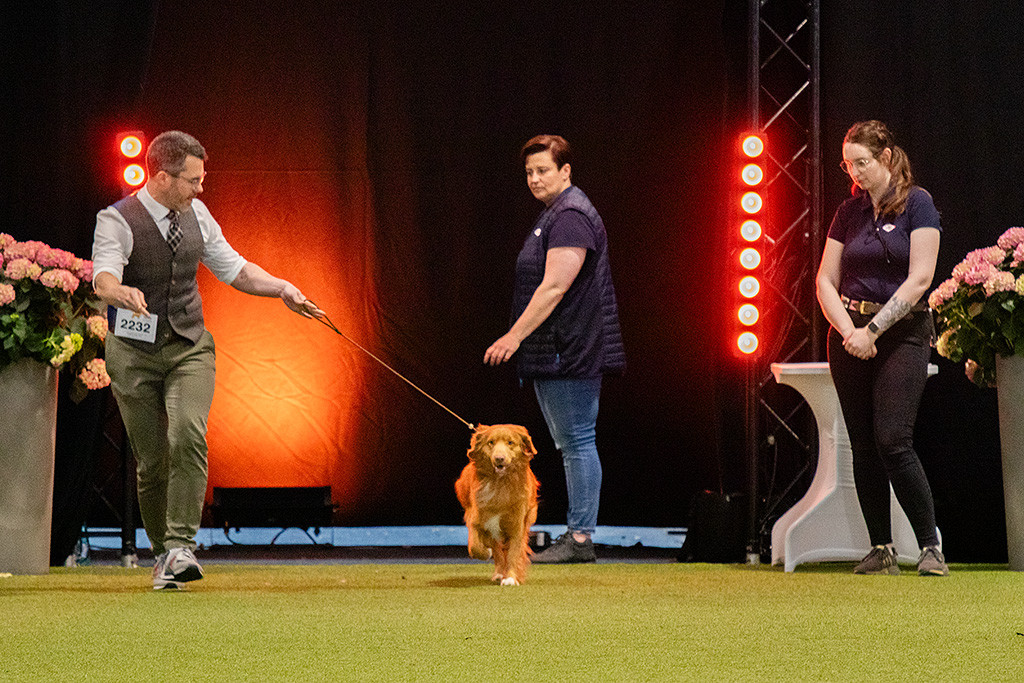 Newton läuft an Stephans Seite in den Ehrenring ein