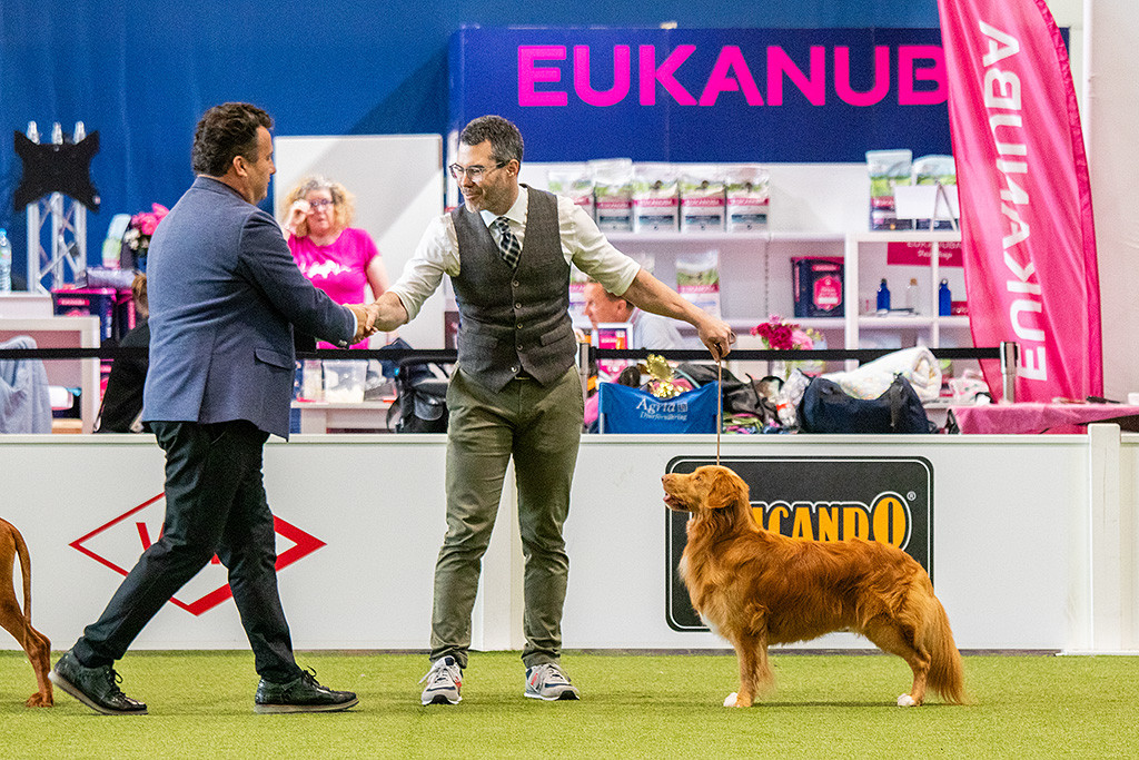 Newton steht wie eine Statue während der Best in Show Richter sich bei Stephan mit Handschlag bedankt