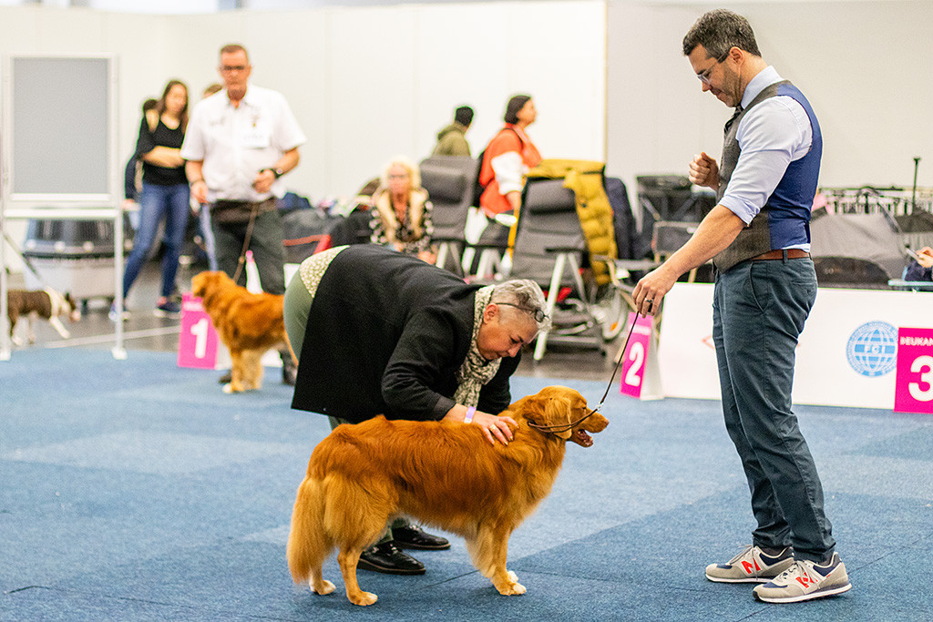 Edison steht gelassen im Ring und wird von der Richterin abgetastet