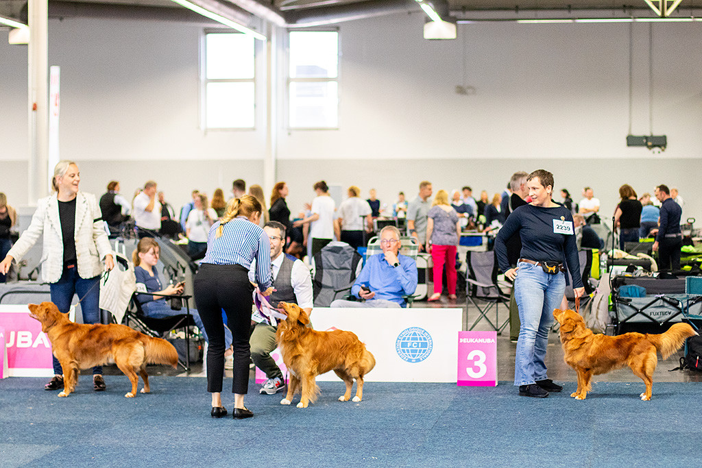 Newton schaut zur Richterin hoch, die die BOB-Schleife an Stephan überreicht