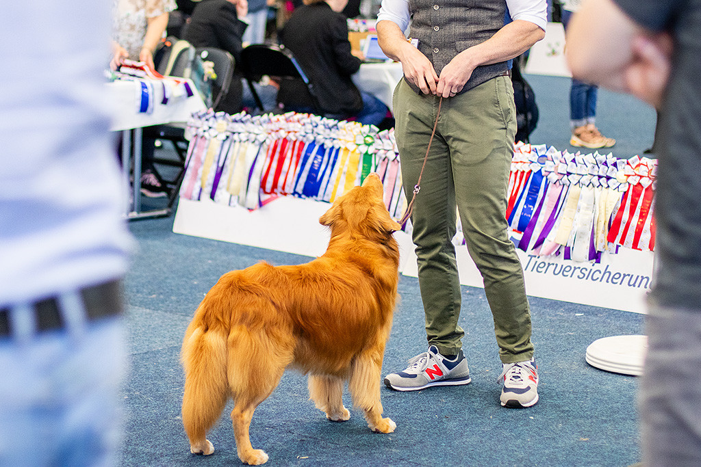 Edison steht frontal vor Stephan und schaut zu ihm hoch, seitlich von hinter ihm fotografiert