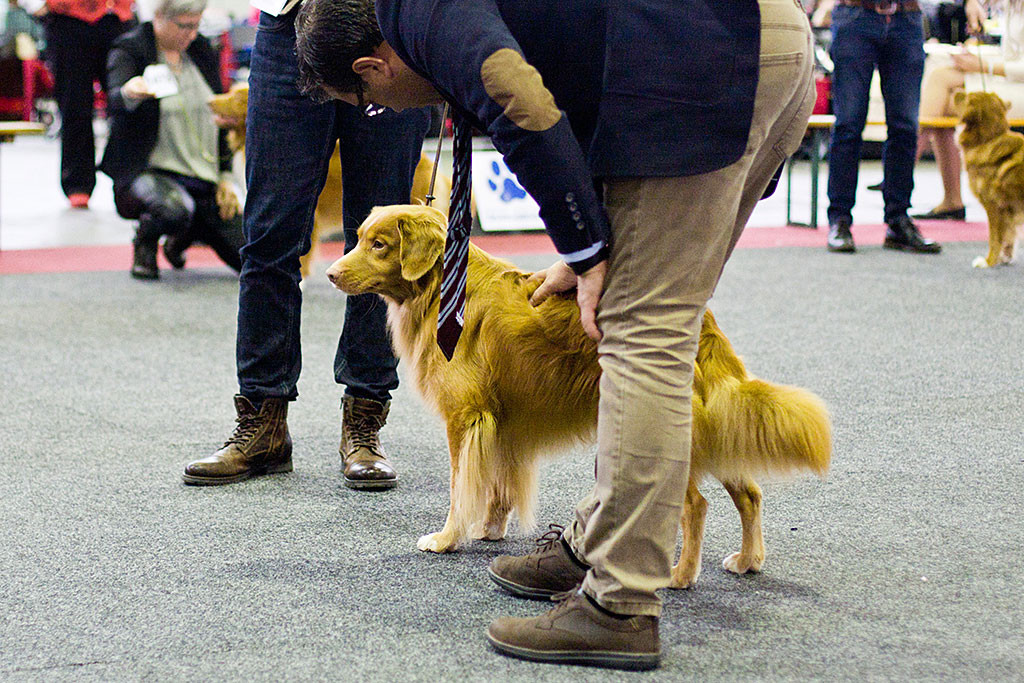 Edison wird vom Richter Luis Jorge Ferreira Peixoto abgetastet