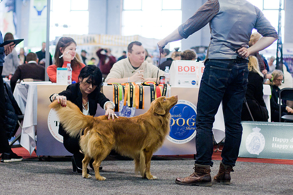 Edisons Rutenansatz wird genauestens von der Richterin unter die Lupe genommen