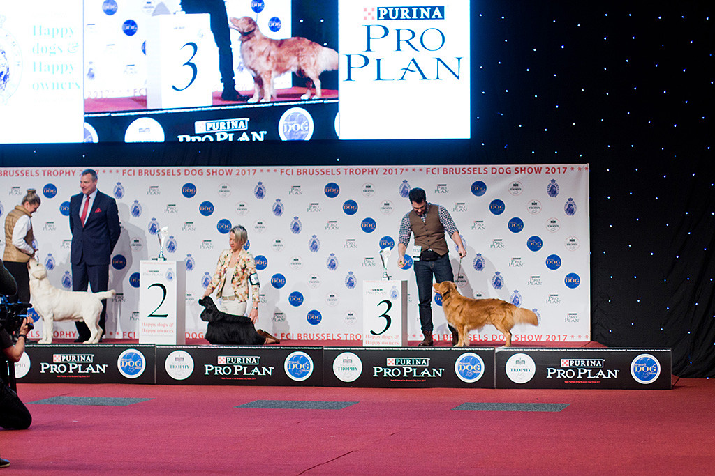 Edison steht als Dritter mit Stephan und den anderen Gewinnern auf dem Podium, auf der Videowand wird er in Großaufnahme gezeigt