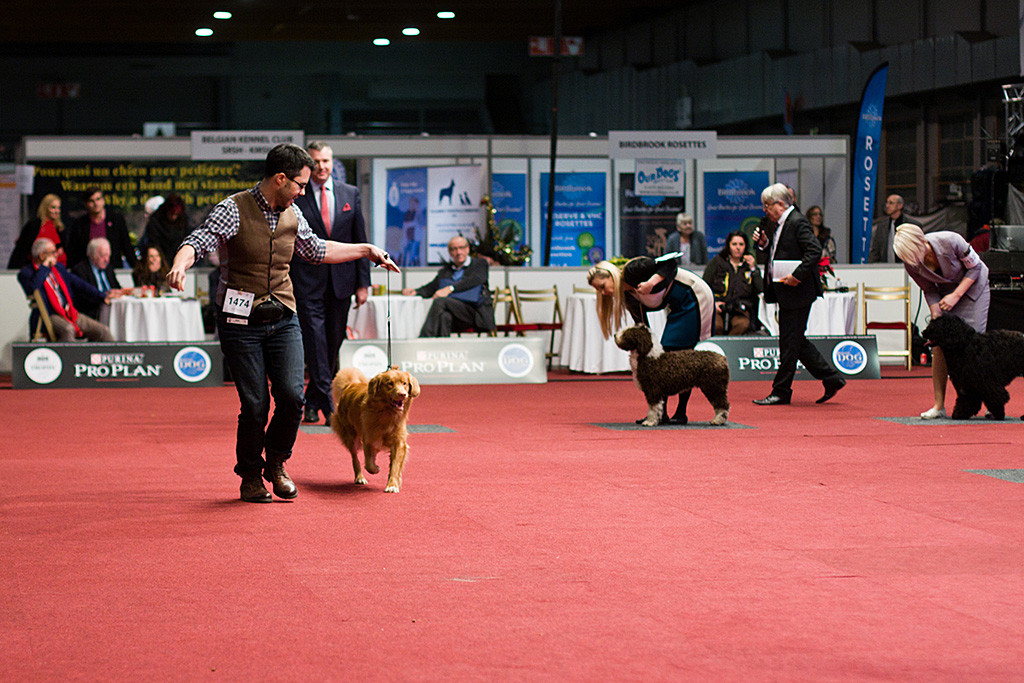 Edison läuft fröhlich an Stephans Seite auf einer Geraden