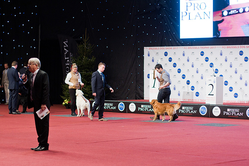 Edison wird in die Shortlist der Gruppe 8 gewählt