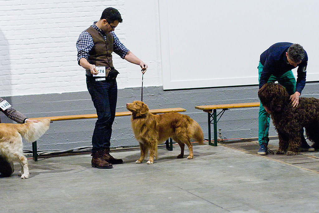 Edison steht vor Stephan posierend im Vorring