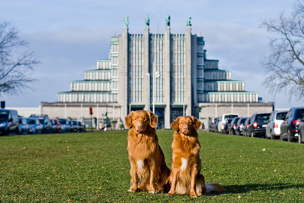 Edison und Ivalu sitzen zusammen vor dem Brussels Expo Gebäude