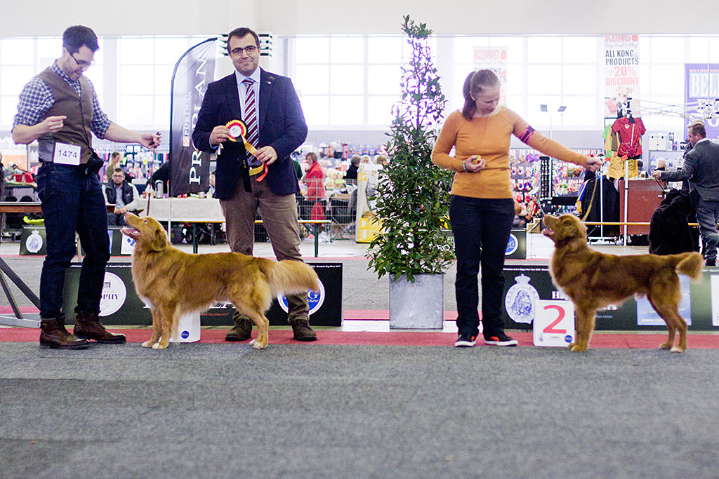 Edison posiert neben Richter und » Evviva La Vita Assassin's Arrow«