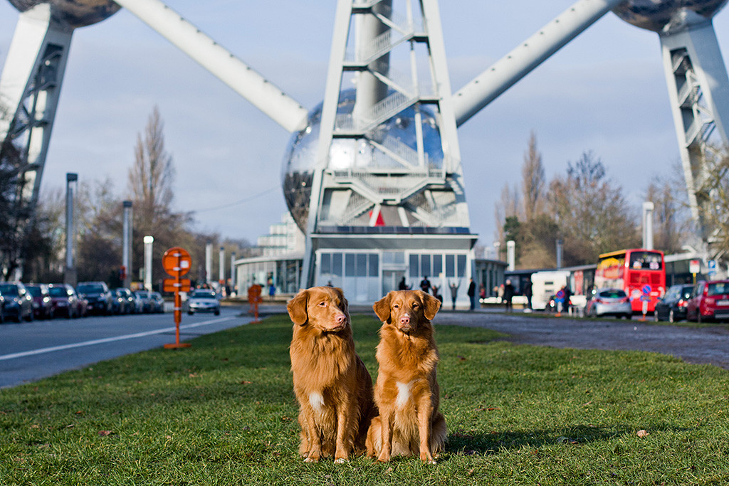 Edison sitzt neben Ivalu vor dem Atomium