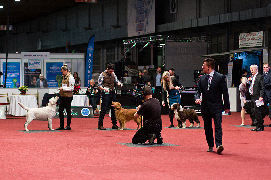 Edison steht in einer Reihe mit den anderen der Shortlist, im Ring außerdem ein Kameramann, der Moderator und ein Anweiser