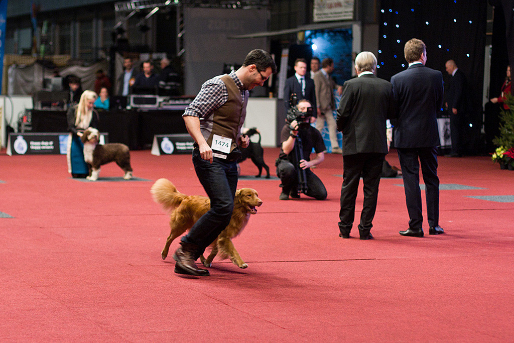 Edison läuft an Stephans Seite zum Podium