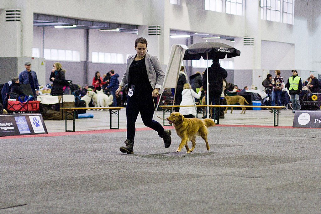 Ivalu fliegt an Carinas Seite durch den Ring