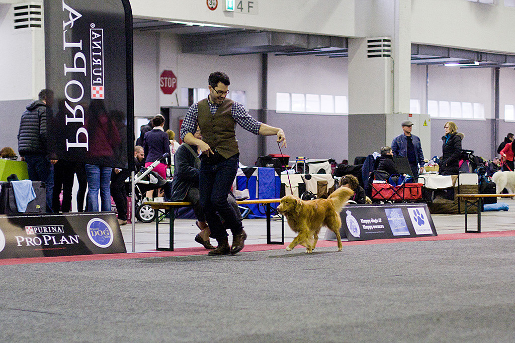 Edison bei der Gangwerksprobe auf der Außenbahn