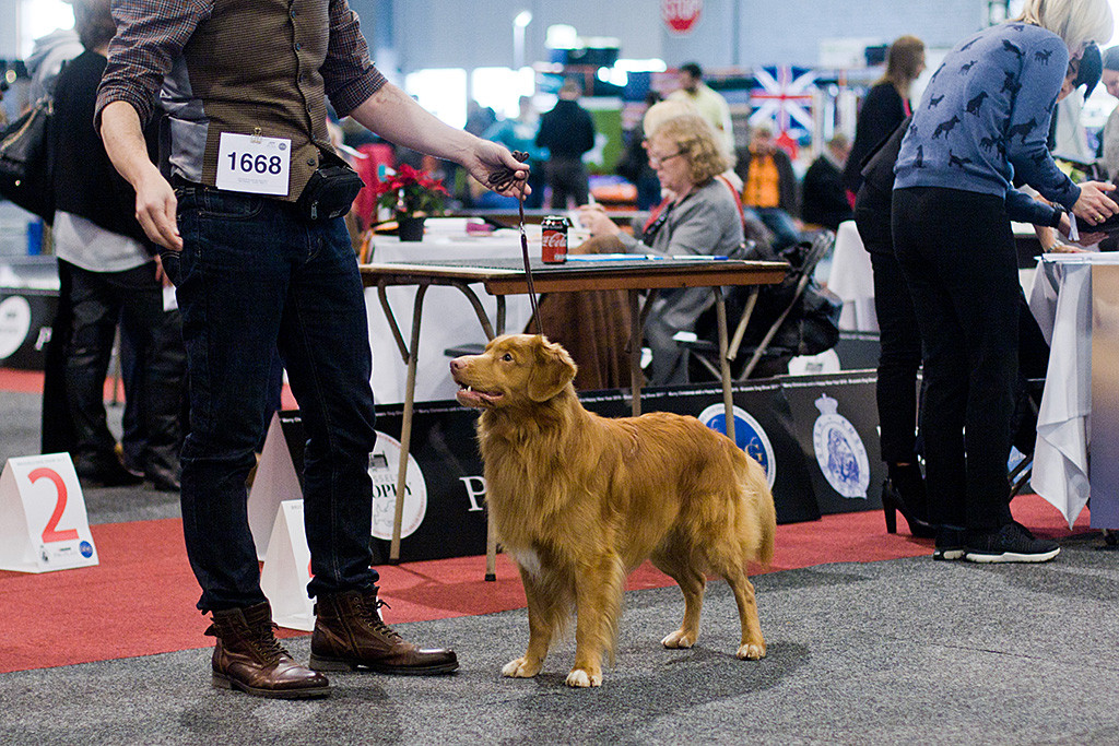 Edison posiert vor Stephan als Drittplatzierter der Championklasse